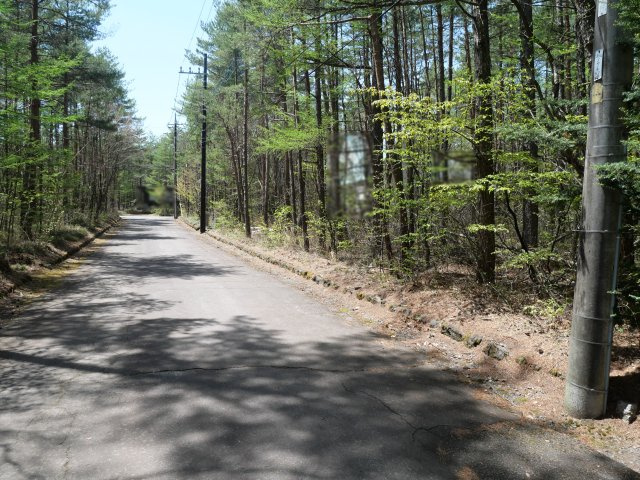 エンゼルフォレスト浅間高原②の前面道路含む現地写真