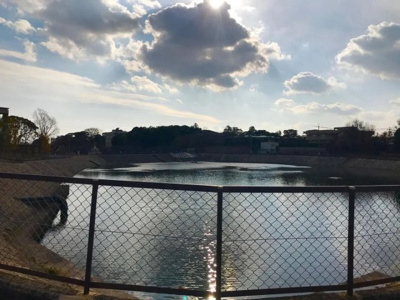 【その他】 | フォレスティア苦楽園