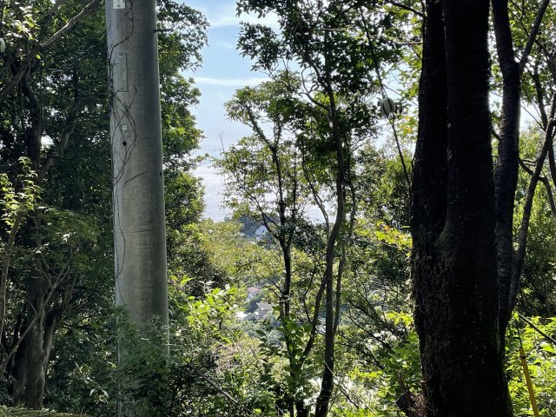 【展望】 | リゾートパーク伊豆あたがわ　売地