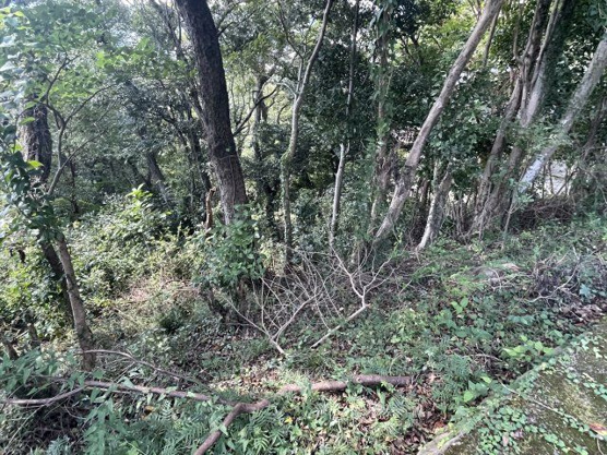 【外観】 | リゾートパーク伊豆あたがわ　売地