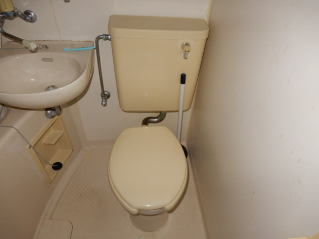 シラサギのトイレ