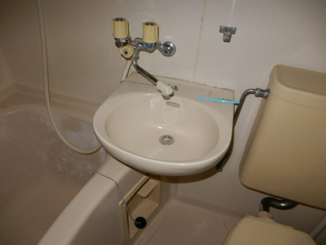 シラサギの洗面所