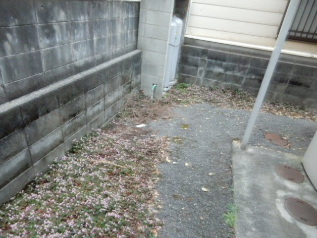 東辻井ハイツのエントランス