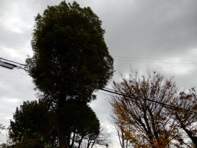 リバーサイド広畑Sの展望