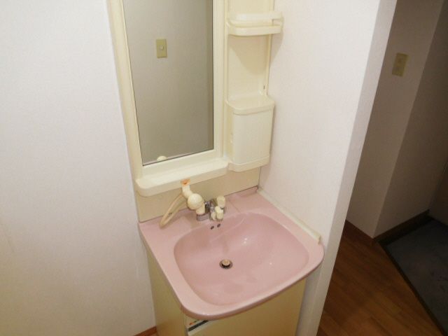 リヴァティー辻井の洗面所