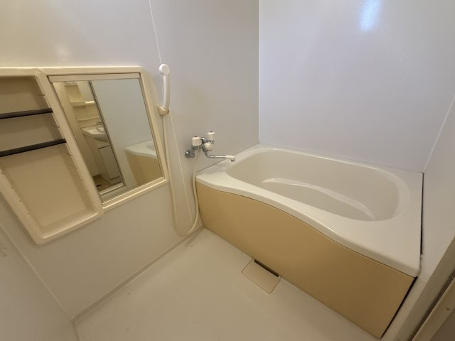 リヴァティー辻井の浴室