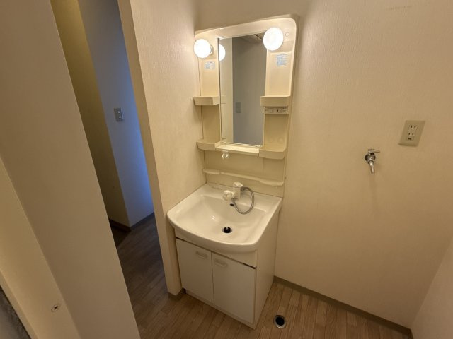 リヴァティー辻井の洗面所