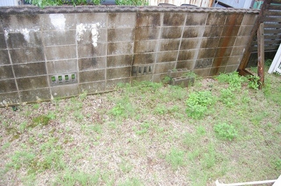 【庭】 | ミューかいぞう