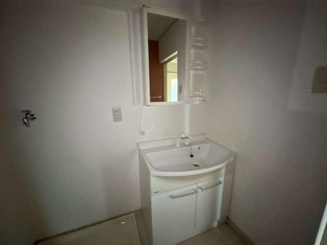 ブエナビスタ姫路の洗面所