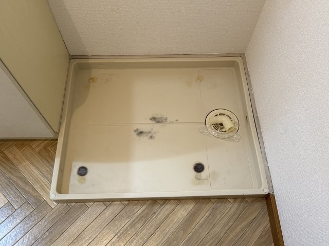 デランテ蓼野のその他