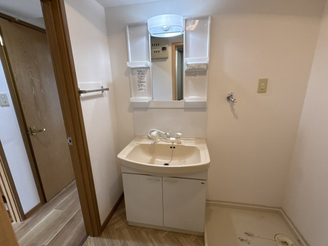 デランテ蓼野の洗面所