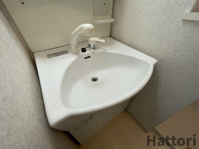 ルグラン弐番館の独立洗面台