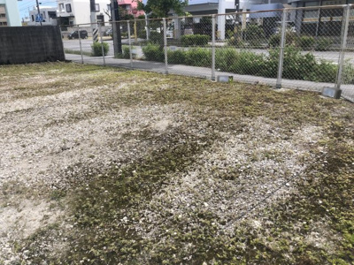 【駐車場】 | 金城パーキング（3丁目）№8