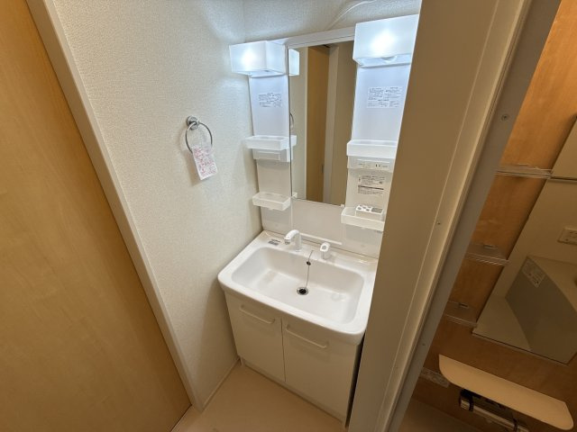 シトラスⅡの洗面所