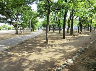 駅前公園まで350m