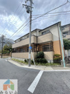 シティヒラソルの画像