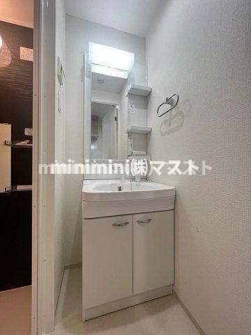 セオリー天王寺南DOORの洗面所