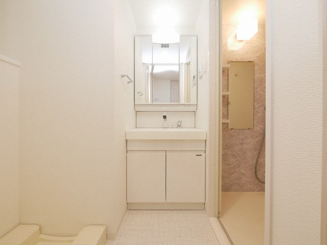 S-RESIDENCE阿波座WESTの独立洗面台