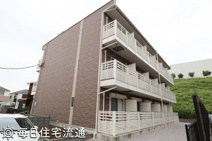 グットドール の画像