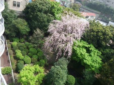 【展望】 | 山手ハウス