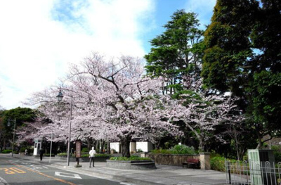 【周辺】 | 山手ハウス