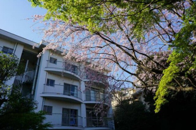 【外観】 | 山手ハウス | 外観も気になるポイント！