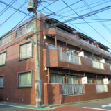 クラウディア錦　13098の画像