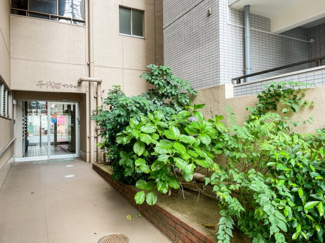 【エントランス】 | 【環七通り側エントランス】季節の植物がお迎え
