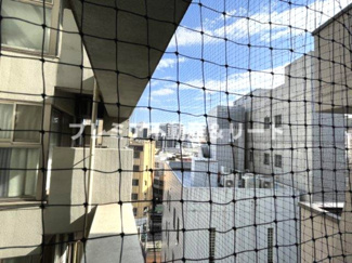 【展望】 | 鳩よけネットがかかっています。