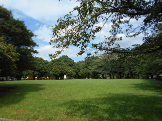 公園