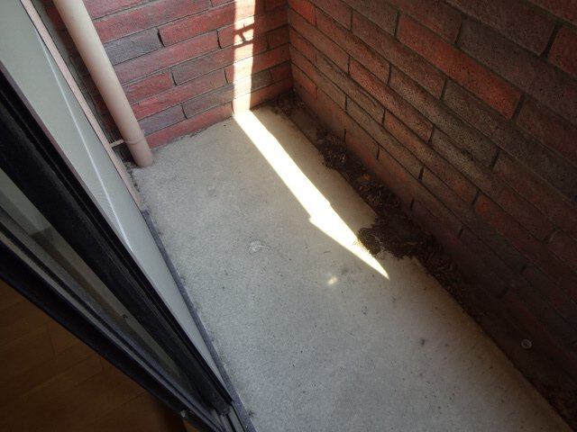 ベルフラワー山野井のバルコニー