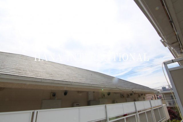 ミカサ今川の展望