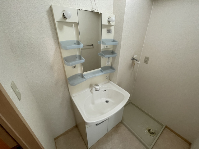 ルイシャトレーの洗面所
