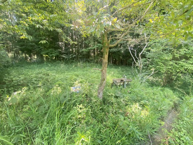 【庭】 | 阿蘇市小倉