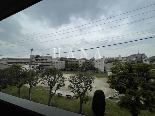 エムズ・ナセールの展望