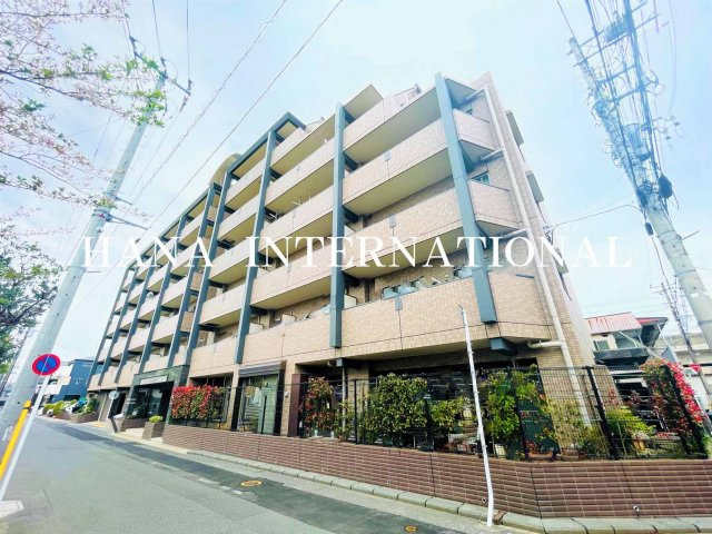 エムズ・ナセールの展望