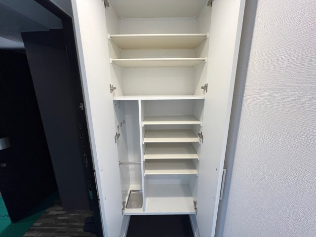 ソルテラス阿波座ウィズの収納