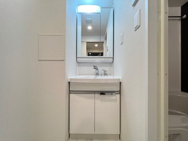 ソルテラス阿波座ウィズの独立洗面台