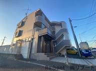 ピアリーさつきの画像