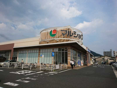  | Lapis Lazuli城野(ラピスラズリ城野)