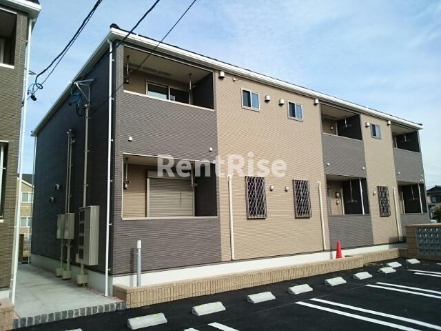 カームパインツリー２１　Ｂ