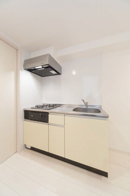 【キッチン】 | Slytherin　★プライスホームなら仲介手数料が割引価格です★