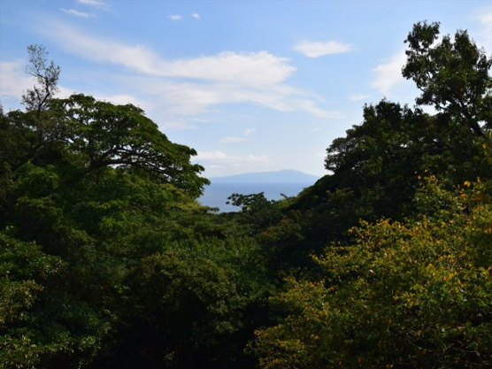 【展望】 | リゾートパーク伊豆あたがわ　戸建
