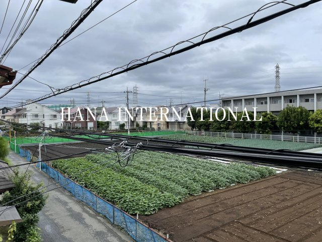 サニープラムの展望