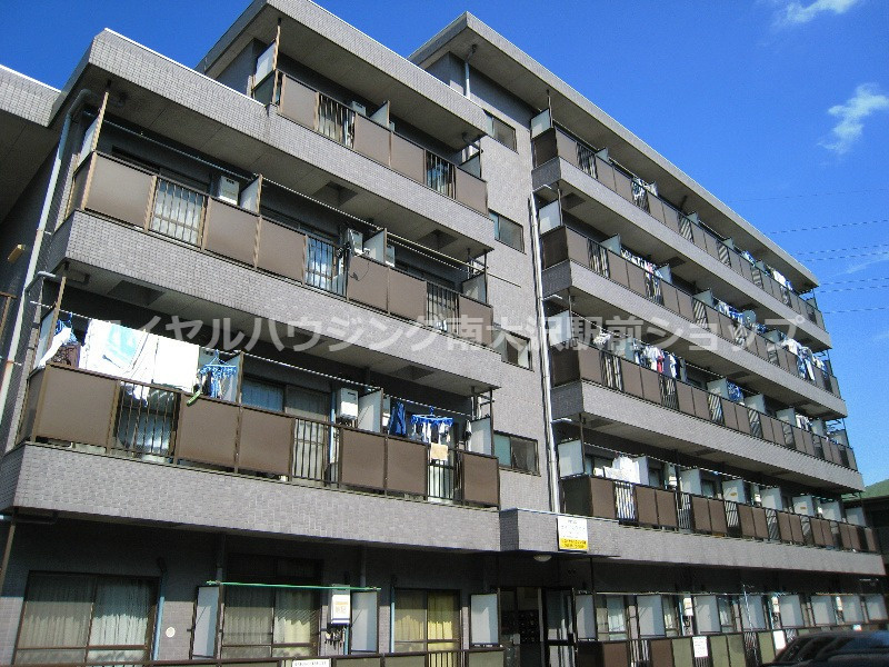 ライブスクエアの画像