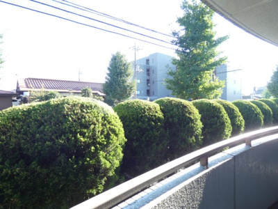 【展望】 | クレール栄町