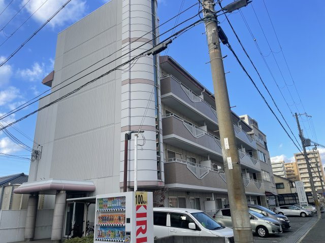 ピュア・エレガンス