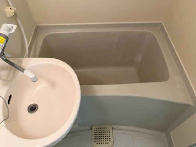 リーダーマンションの浴室