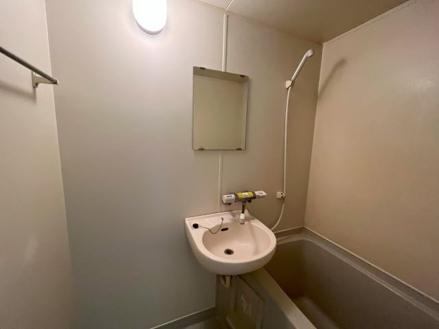 リーダーマンションの洗面所