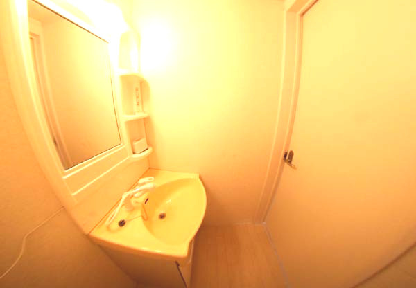 アイムパレス府中の洗面所|広い洗面スペース